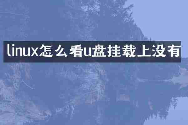 linux怎么看u盘挂载上没有