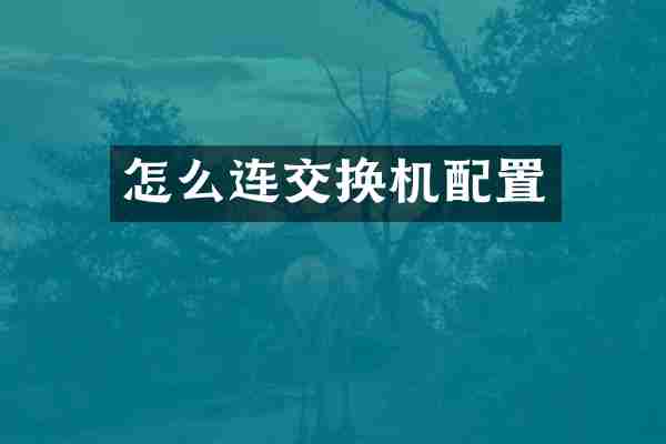 怎么连交换机配置