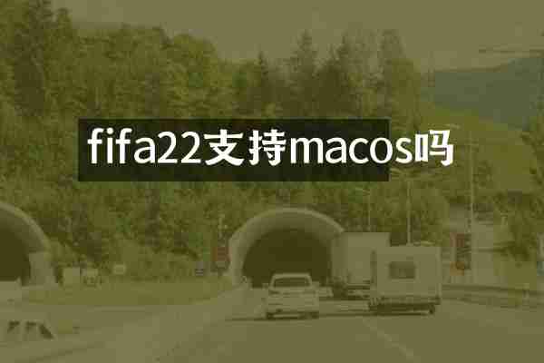 fifa22支持macos吗