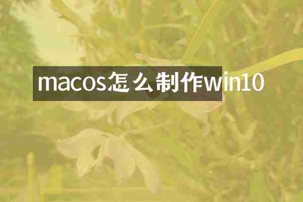macos怎么制作win10