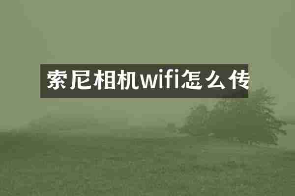 相机wifi怎么传