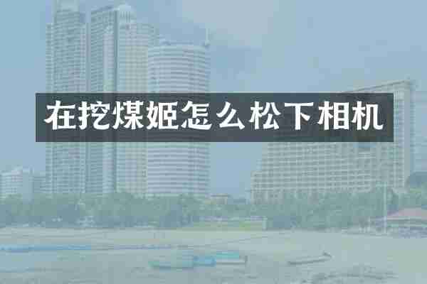 在挖煤姬怎么松下相机