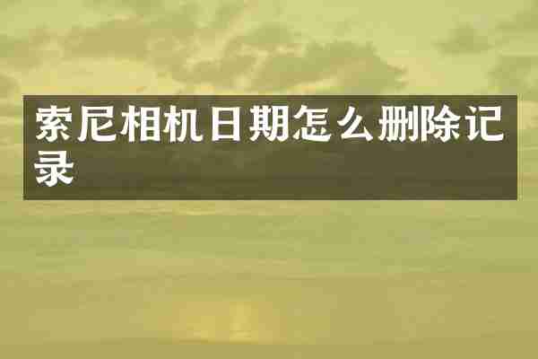 索尼相机日期怎么删除记录
