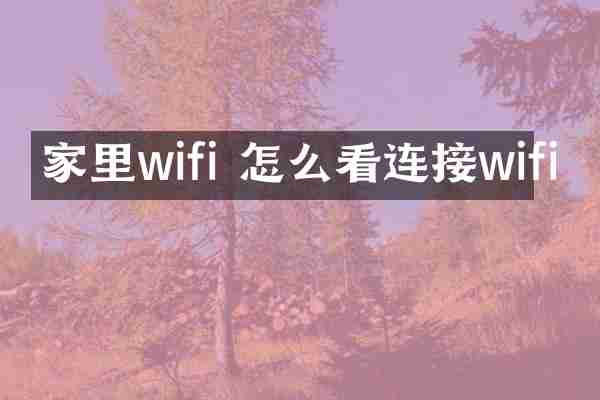 家里wifi 怎么看连接wifi