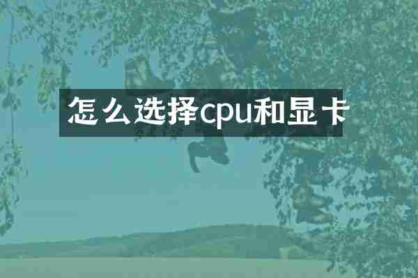 怎么选择cpu和显卡