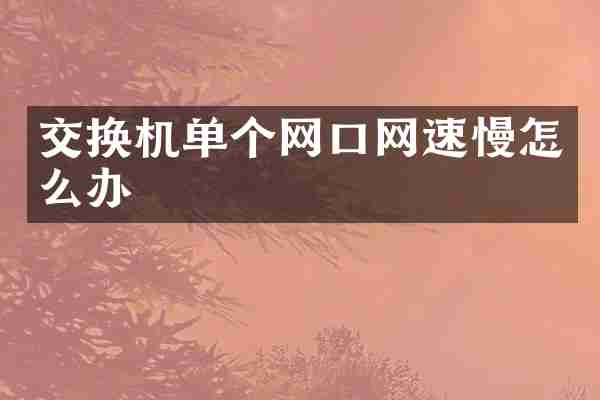 交换机单个网口网速慢怎么办