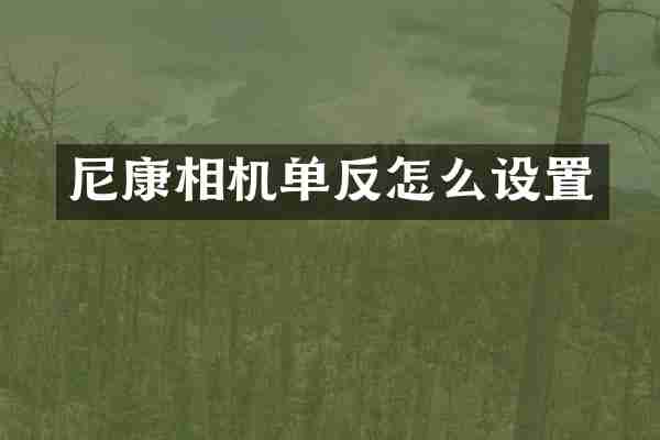 尼康相机单反怎么设置