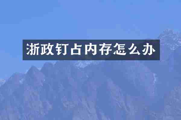浙政钉占内存怎么办