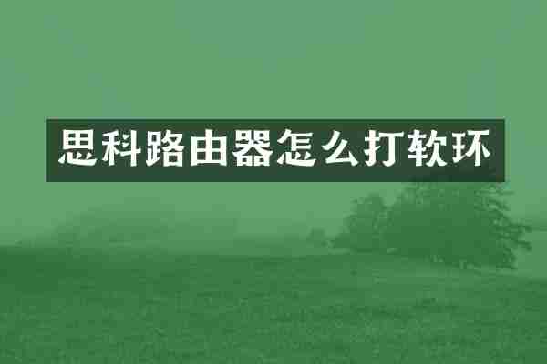 思科路由器怎么打软环