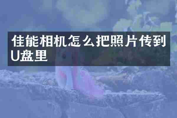 佳能相机怎么把照片传到U盘里