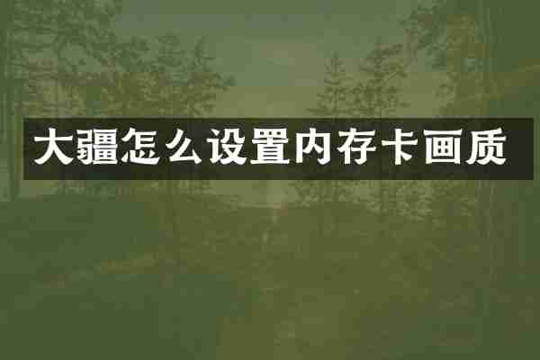 大疆怎么设置内存卡画质