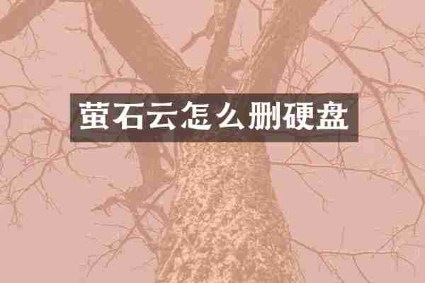 萤石云怎么删硬盘