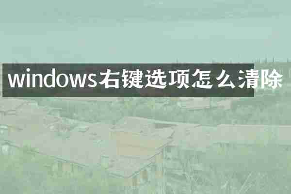 windows右键选项怎么清除