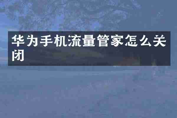 华为手机流量管家怎么关闭