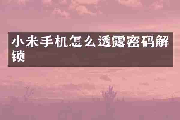 小米手机怎么透露密码解锁