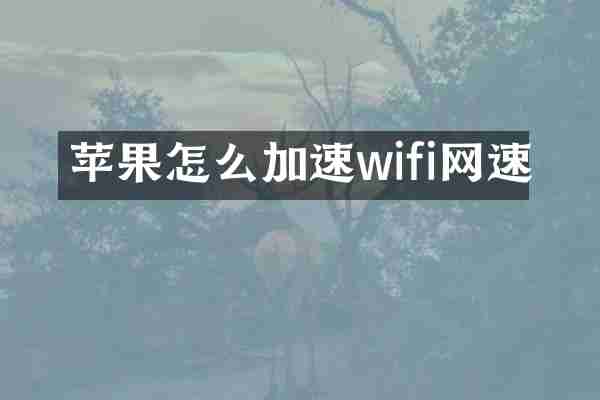 苹果怎么加速wifi网速
