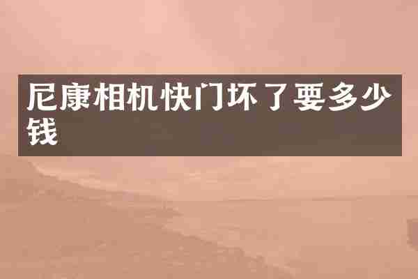 尼康相机快门坏了要多少钱