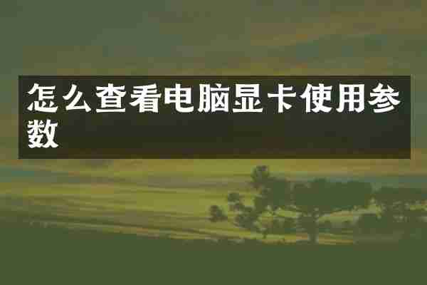 怎么查看电脑显卡使用参数