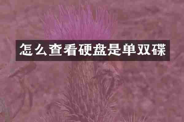 怎么查看硬盘是单双碟