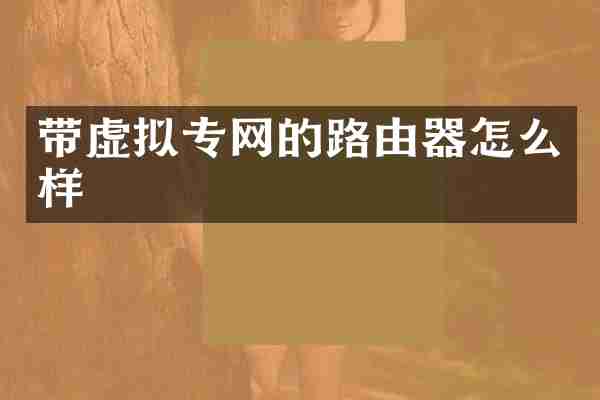 带虚拟专网的路由器怎么样