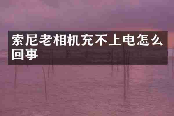 老相机充不上电怎么回事