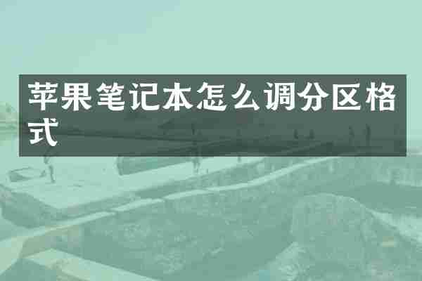 苹果笔记本怎么调分区格式
