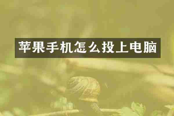 苹果手机怎么投上电脑