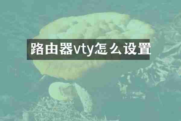 路由器vty怎么设置