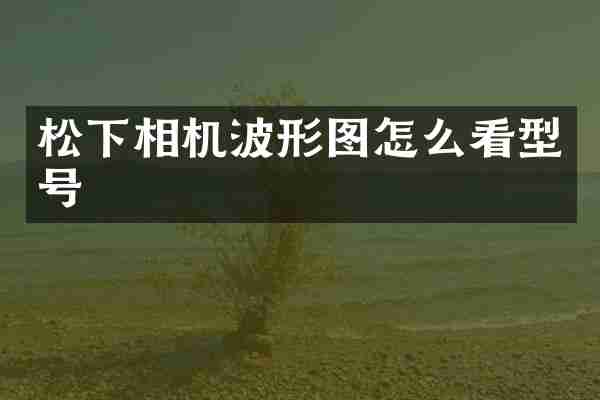 相机波形图怎么看型号