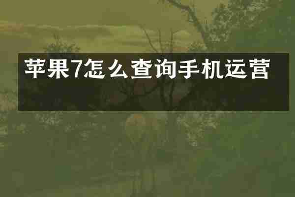 苹果7怎么查询手机运营商