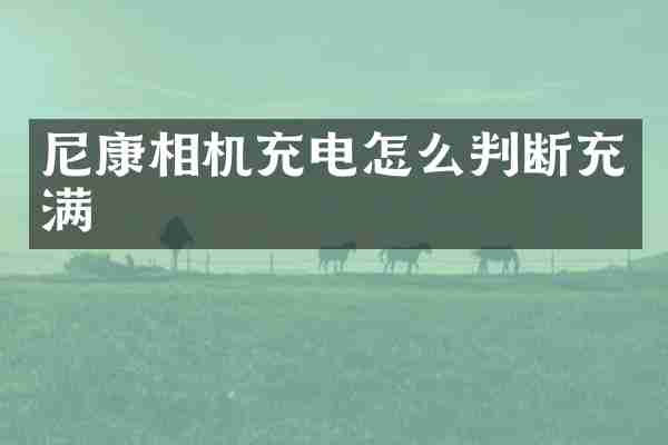 尼康相机充电怎么判断充满