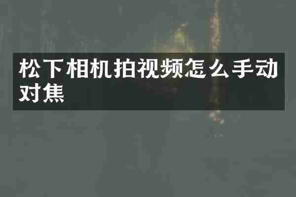 相机拍视频怎么手动对焦