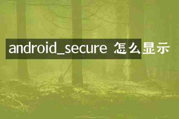 android_secure 怎么显示