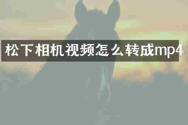 相机视频怎么转成mp4