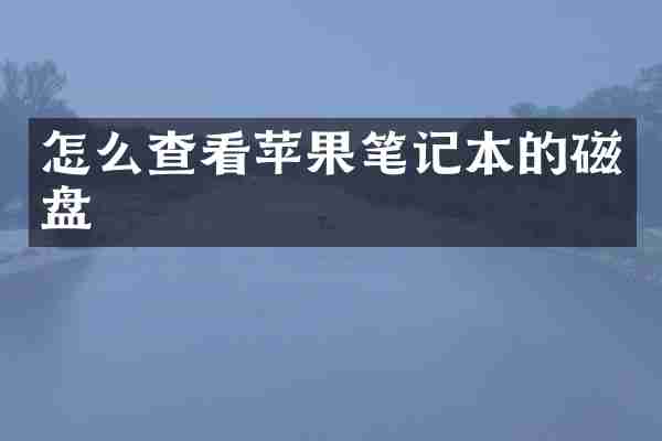 怎么查看苹果笔记本的磁盘