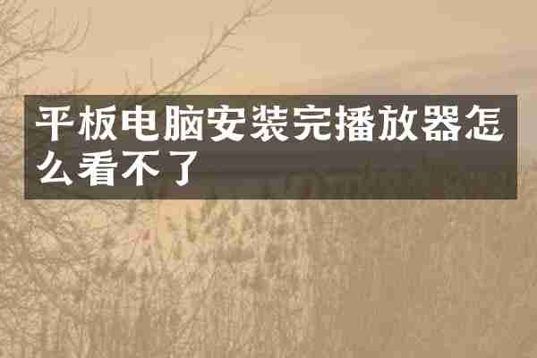 平板电脑安装完播放器怎么看不了