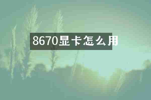 8670显卡怎么用