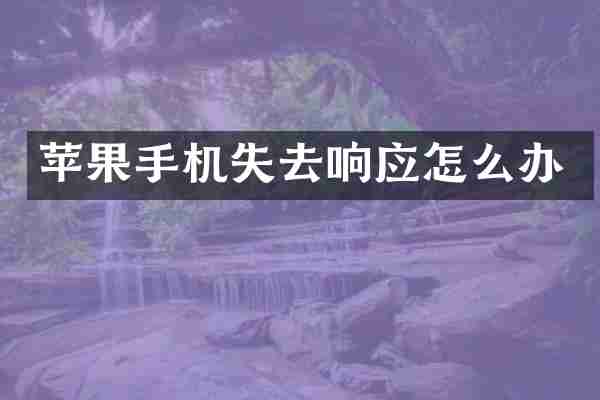 苹果手机失去响应怎么办