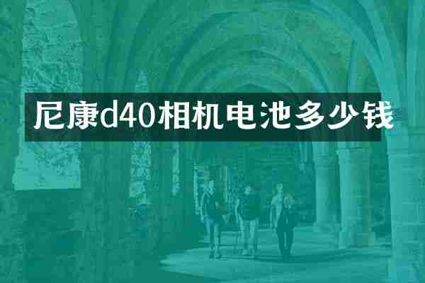 尼康d40相机电池多少钱