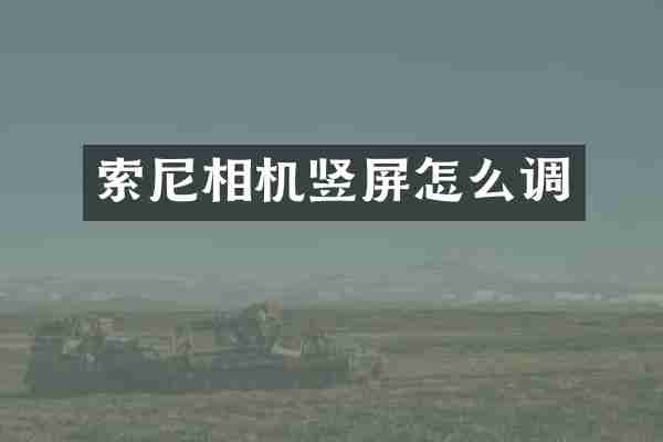 索尼相机竖屏怎么调