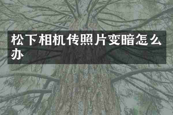 相机传照片变暗怎么办