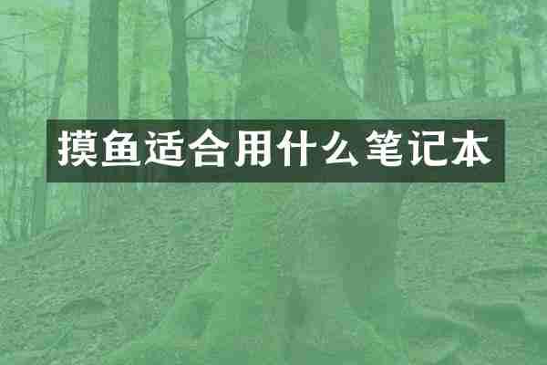 摸鱼适合用什么笔记本