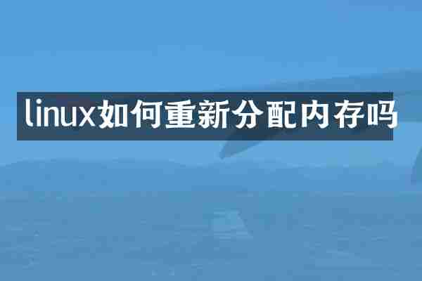 linux如何重新分配内存吗