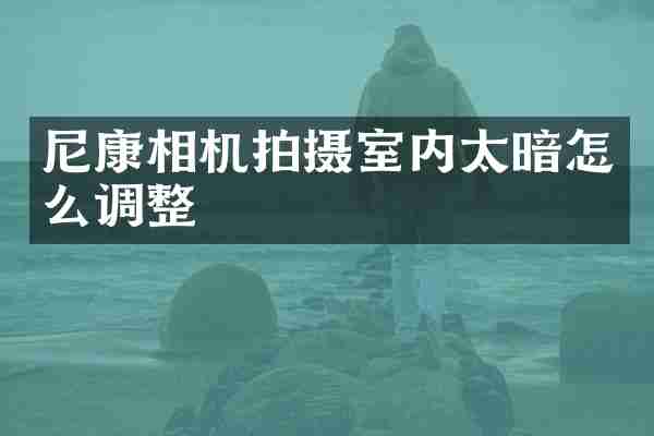 尼康相机拍摄室内太暗怎么调整
