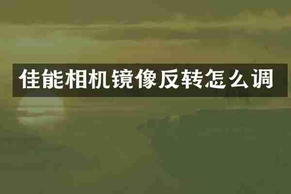 佳能相机镜像反转怎么调