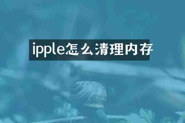 ipple怎么清理内存