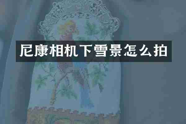 尼康相机下雪景怎么拍