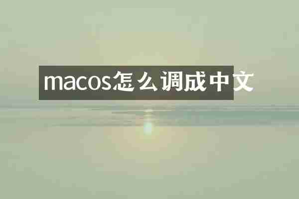 macos怎么调成中文