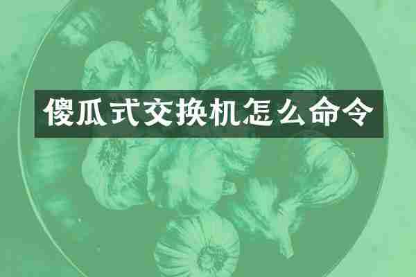 傻瓜式交换机怎么命令