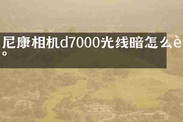 尼康相机d7000光线暗怎么调